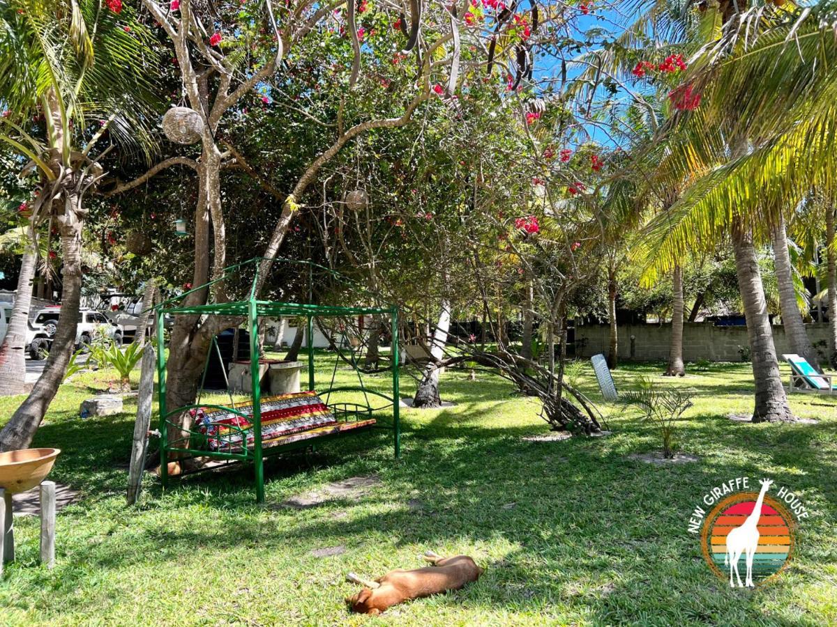 New Giraffe House Bed and Breakfast Vilanculos Εξωτερικό φωτογραφία
